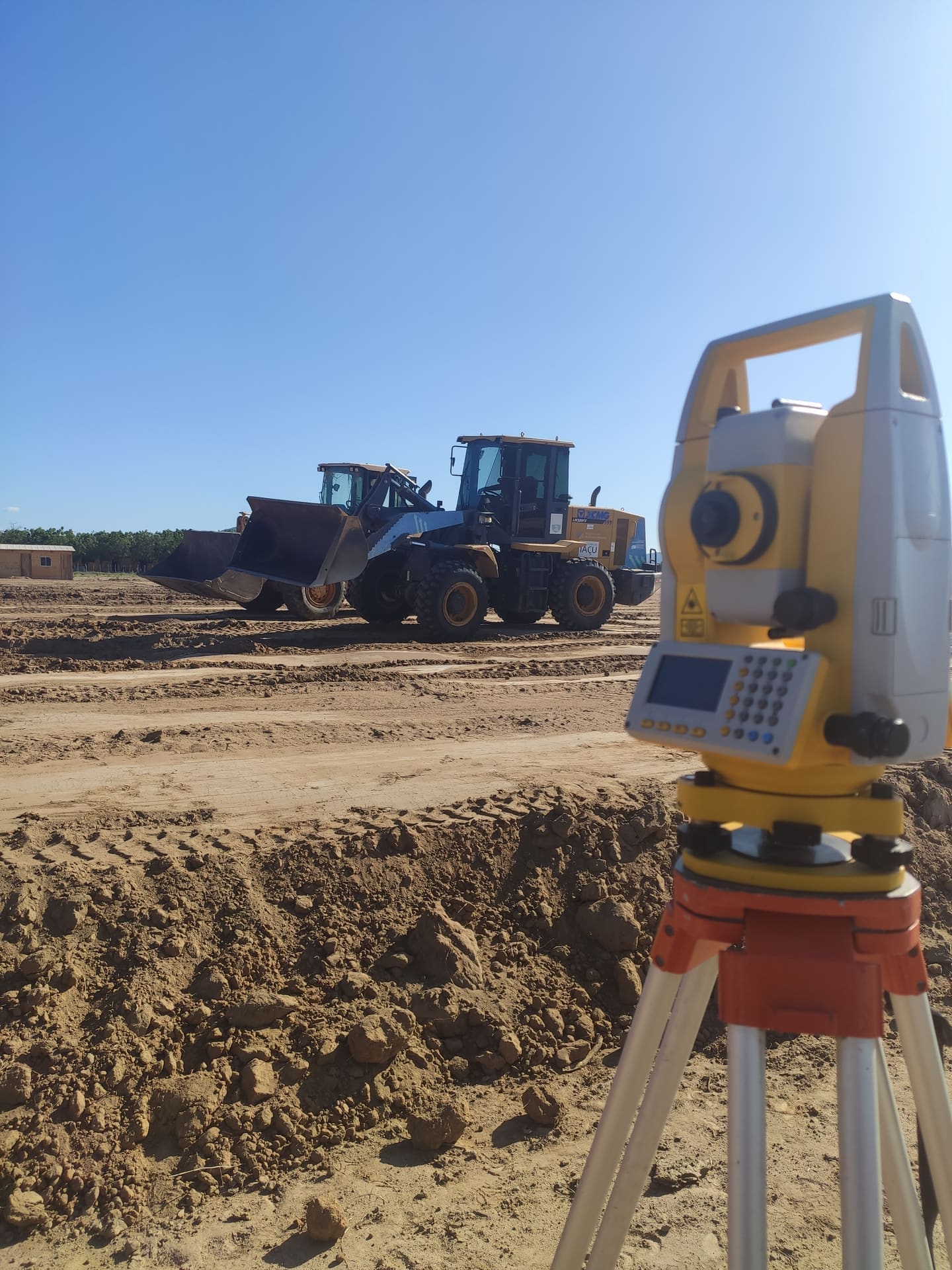 Bosque das Flores - João Filho